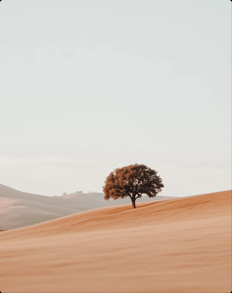 Tailored Software Solutions